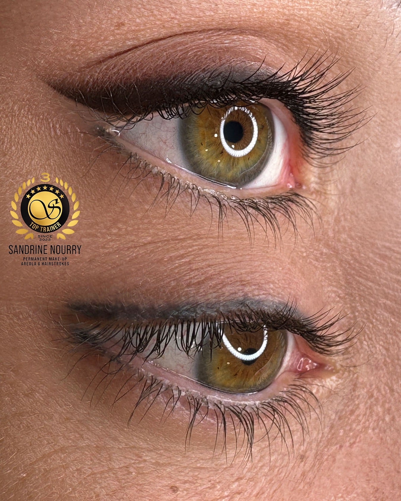Colorimétrie sourcils maquillage permanent