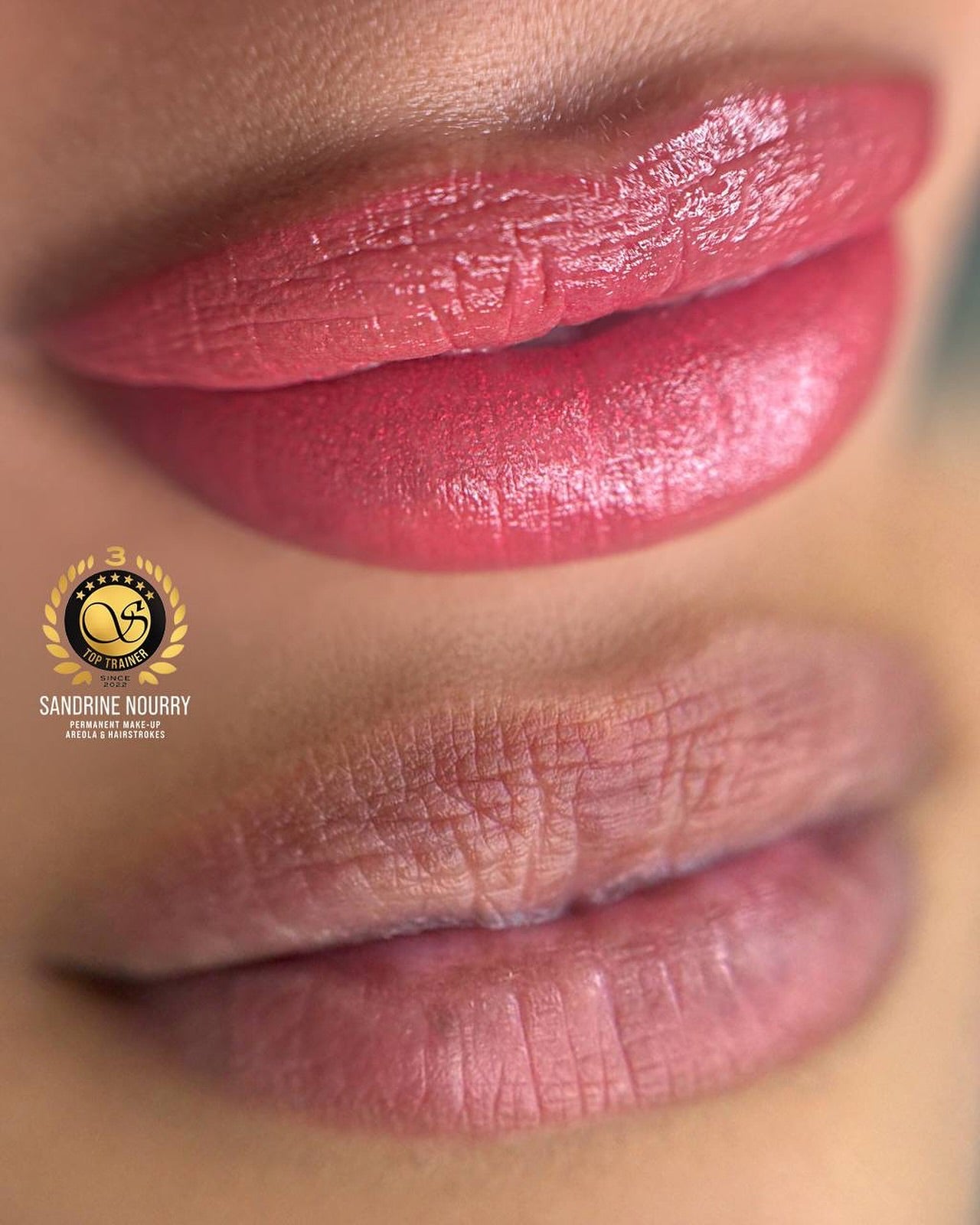 Formations maquillage permanent Sviato Academy Montpellier — Sandrine Nourry