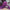 Reverse Pads - Bigoudis protecteurs en silicone — vue 2 | SHOPDERMOPRO